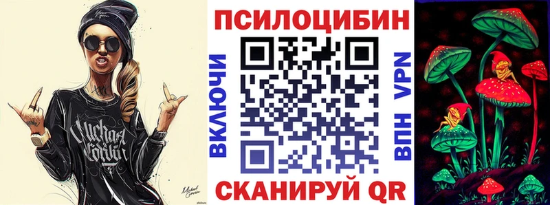 купить наркотики цена  Спас-Клепики  Галлюциногенные грибы Psilocybine cubensis 